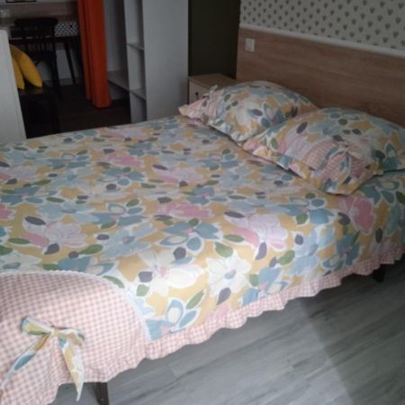 Hotel Sainte Therese Лурд Екстер'єр фото