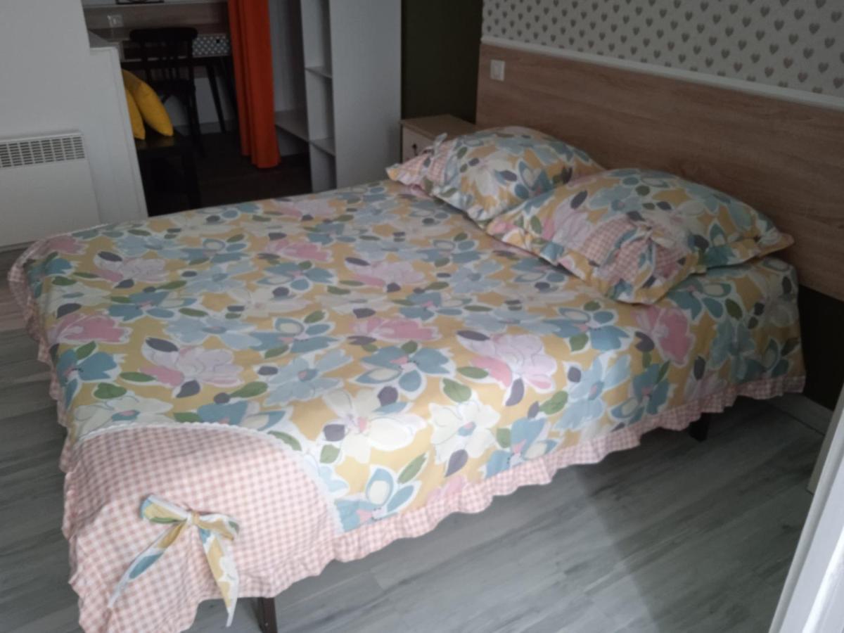 Hotel Sainte Therese Лурд Екстер'єр фото